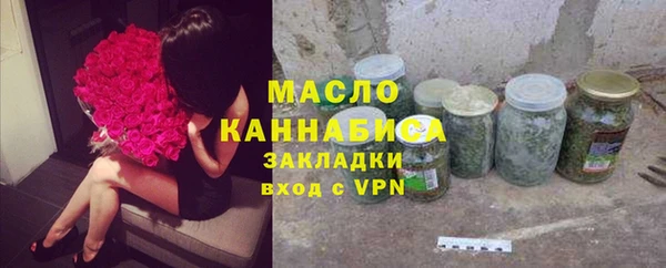 МДПВ Каменногорск