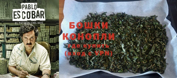 МДПВ Каменногорск