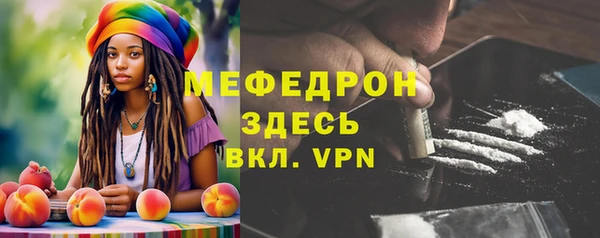 МДПВ Каменногорск