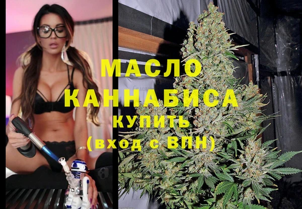 МДПВ Каменногорск