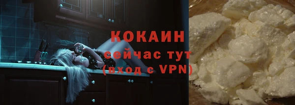 ПСИЛОЦИБИНОВЫЕ ГРИБЫ Белокуриха