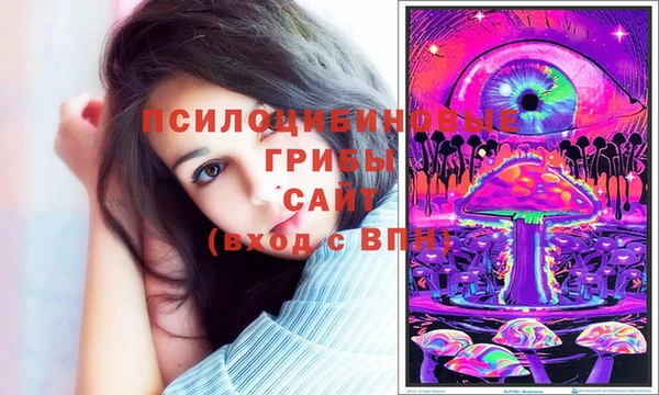 герыч Каменск-Шахтинский
