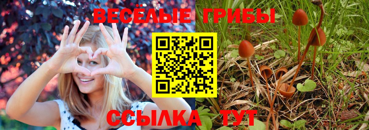 МДМА Ноябрьск
