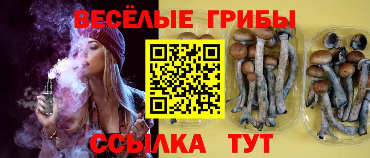 Псилоцибиновые грибы GOLDEN TEACHER Ноябрьск