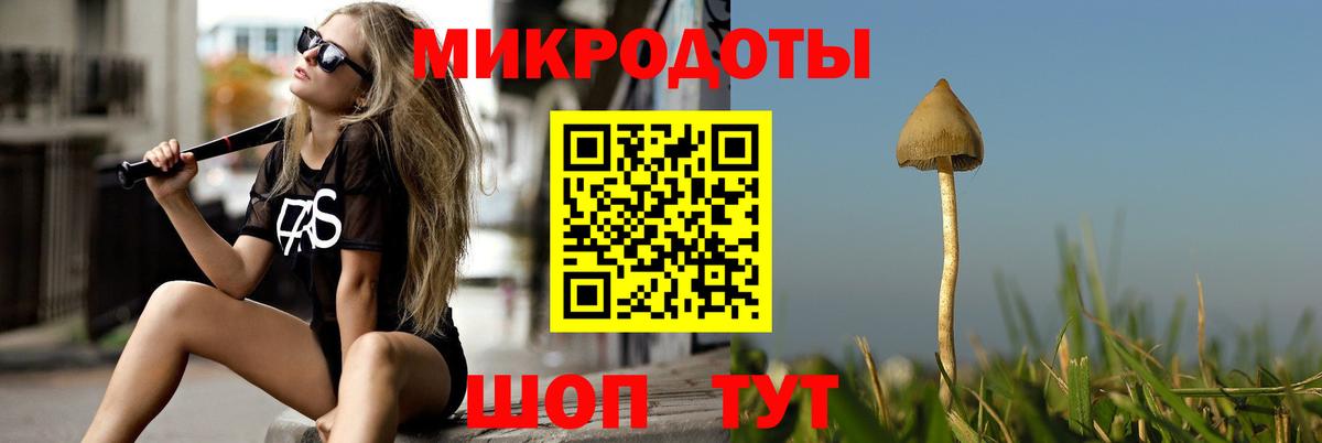 Галлюциногенные грибы Psilocybine cubensis  Вход с VPN  закладки  Псилоцибиновые грибы GOLDEN TEACHER  Ноябрьск 
